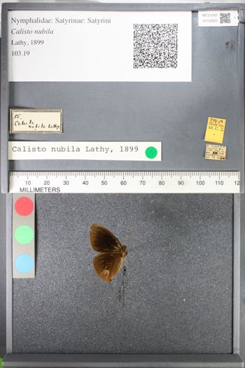 Media type: image;   Entomology 102820